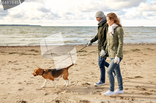 Image of happy couple with beagle dog on autumn beach