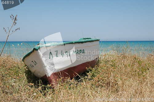 Image of Shipwreck