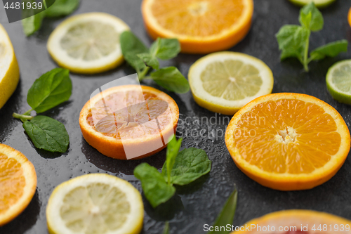 Image of close up of grapefruit, orange, pomelo and lime