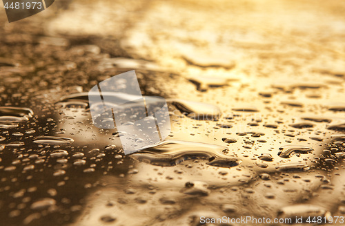 Image of Drops of water on glass