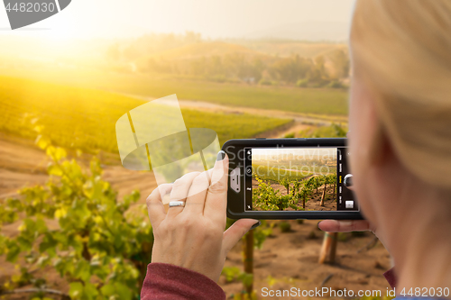 Image of Woman Taking Pictures of A Grape Vineyard with Her Smart Phone