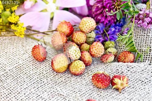 Image of Strawberries with flowers on old burlap