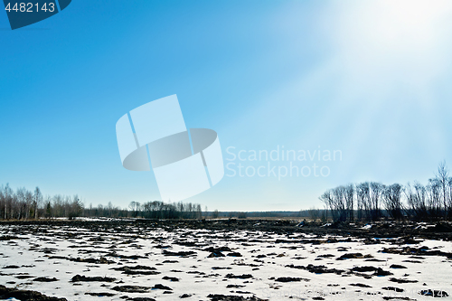 Image of Spring field and azure sky