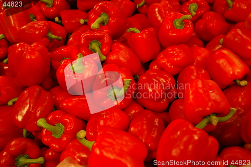 Image of Paprika