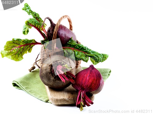 Image of Fresh Young Beet