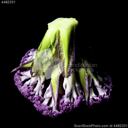 Image of Fresh Purple Cauliflower