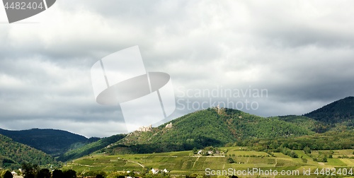 Image of Alsace Landscape, France