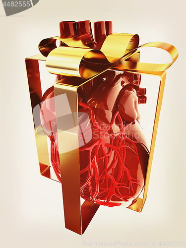 Image of Red human heart with ribbon. Donor concept. 3d illustration. Vin