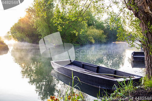 Image of Marshes in Bourges, France