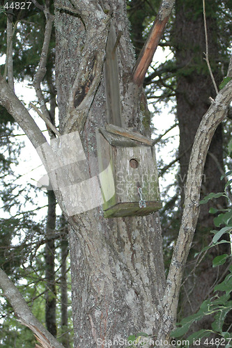 Image of Bird´s nest