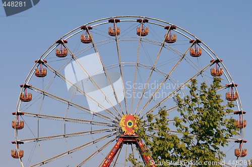 Image of amusement and tree