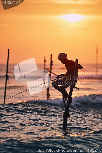 Image of Traditional stilt fishing in Sri Lanka