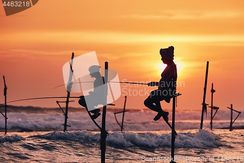 Image of Traditional stilt fishing in Sri Lanka