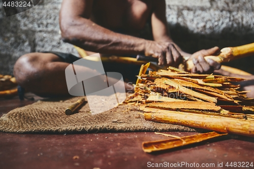 Image of Production of the cinnamon sticks