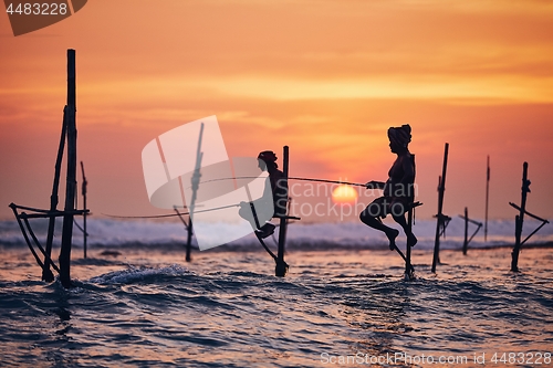 Image of Traditional stilt fishing in Sri Lanka