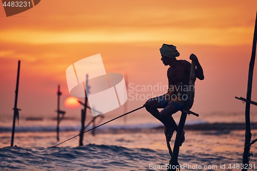 Image of Traditional stilt fishing in Sri Lanka