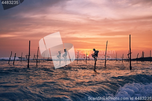 Image of Traditional stilt fishing in Sri Lanka