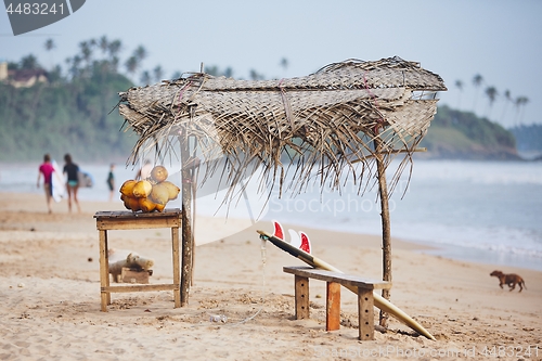 Image of Idyllic day on the beach