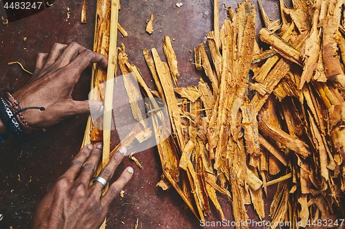 Image of Production of the cinnamon sticks