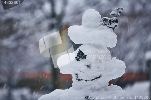 Image of Head of big snowman