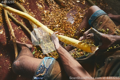 Image of Production of the cinnamon sticks