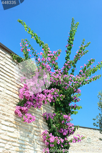 Image of Bright colors of Mediterranean region