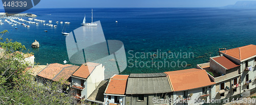 Image of Scilla coast