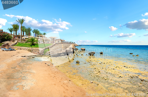 Image of Coral reefs on beach