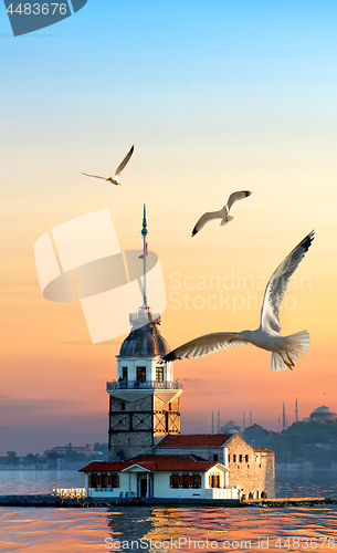 Image of Maiden Tower and seagulls