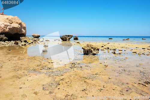 Image of Coral reef Egypt