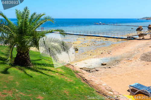 Image of Red Sea beach