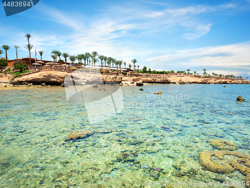 Image of Coral reefs on the beach 