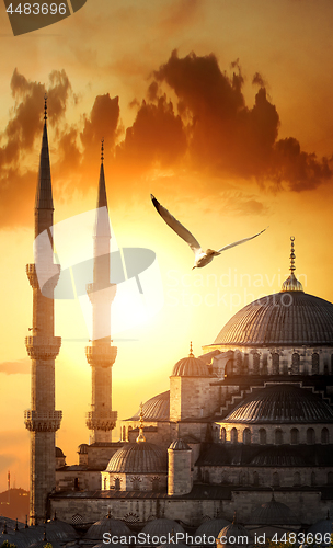 Image of Blue mosque at sunrise