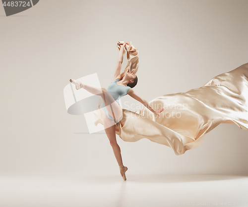 Image of Modern ballet dancer dancing in full body on white studio background.