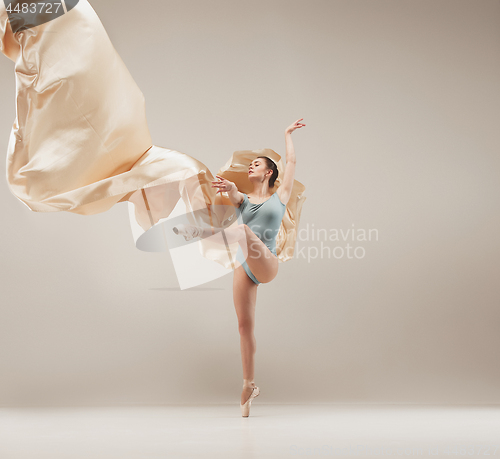 Image of Modern ballet dancer dancing in full body on white studio background.