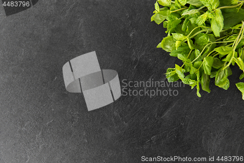 Image of green mint leaves on stone background