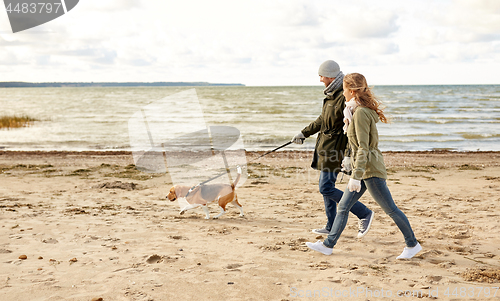 Image of happy couple with beagle dog on autumn beach