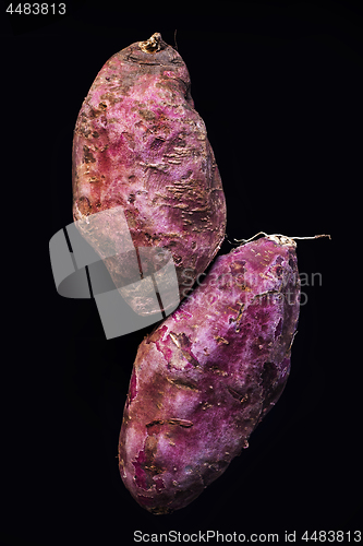 Image of Sweet potato 