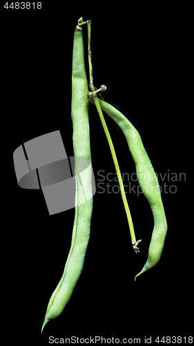 Image of green beans 