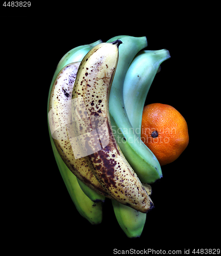 Image of Bananas and Tangerine 
