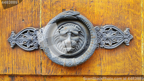 Image of Vintage wooden texture with decorative lion head and snake ring 