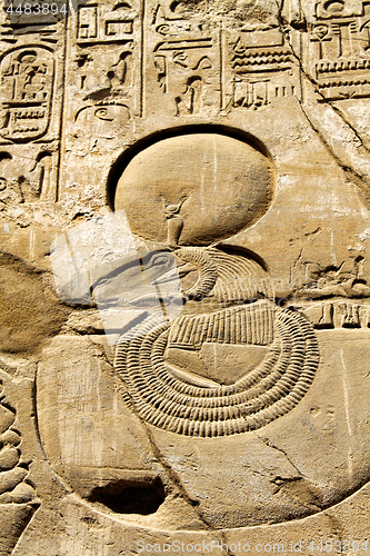 Image of Ancient stone wall with Egyptian hieroglyphs, close-up texture