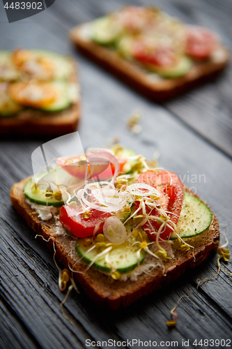 Image of Healthy vege toasts with onion, cucomber, cherry tomatoes