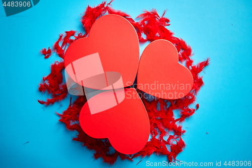 Image of Three red, heart shaped gift boxes placed on blue background among red feathers