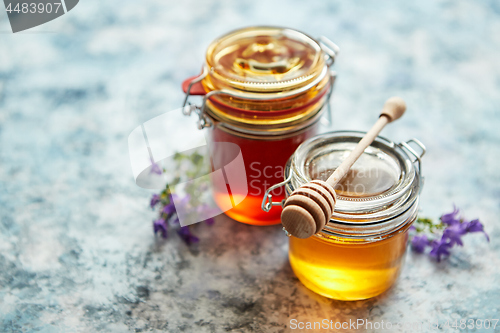 Image of Jars with different kinds of fresh organic honey