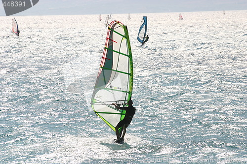 Image of Many windsurfers at sea