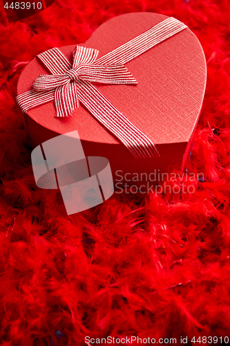 Image of Heart shaped boxed gift, placed on red feathers background