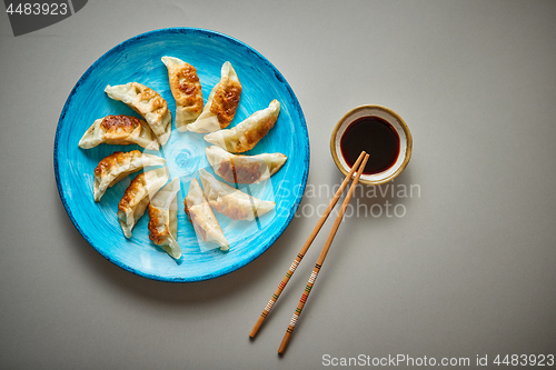 Image of Traditional asian dumplings Gyozas on turqoise ceramic plate