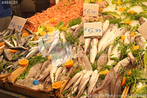 Image of Fish Market