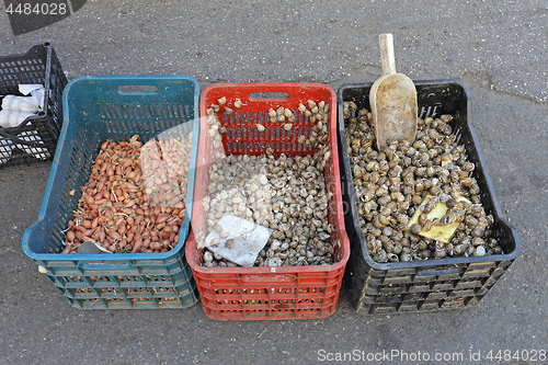 Image of Snails Crates